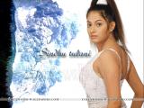 Sindhu Tolani